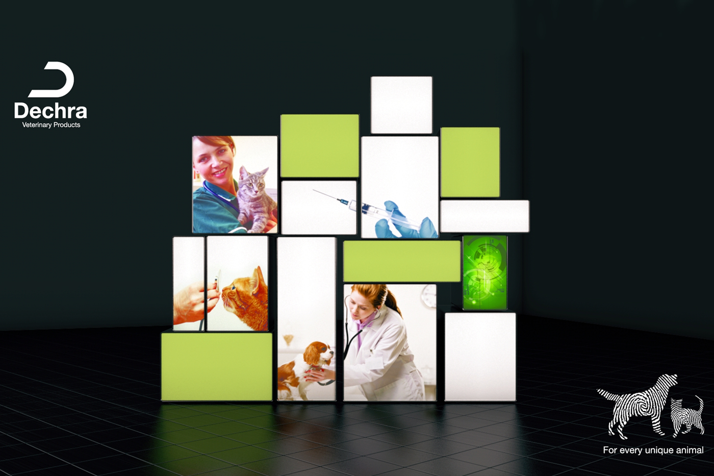 Animated Corporate Video